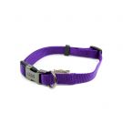 Great&Small Adjustable Collar Purple