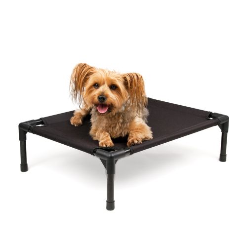 Great&Small Raised Dog Bed