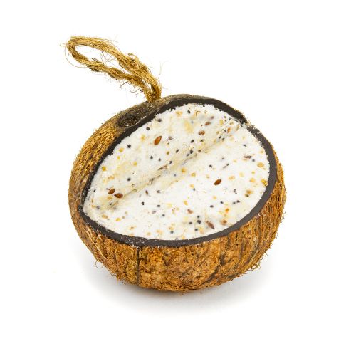 Peter&Paul Mealworm Full Coconut with Platform