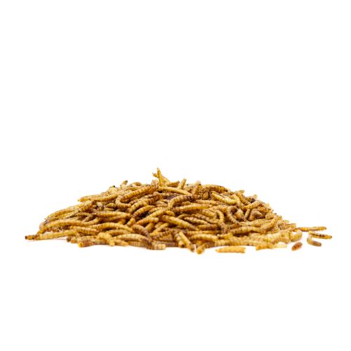 Great&Small Mealworms