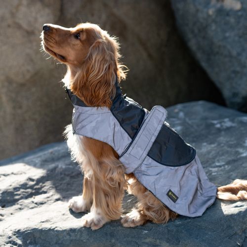 Dog Coats & Outerwear | Free Delivery & Collection | Pets Corner