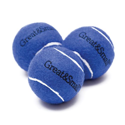 Great&Small Squeaky Blue Tennis Ball (3)