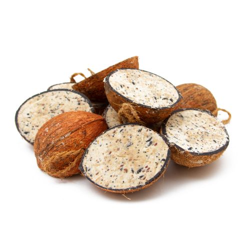 Great&Small Suet Coconuts Halves 10 Pack