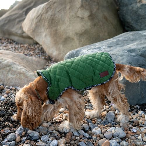 Great&Small Country Quilted Coat Green