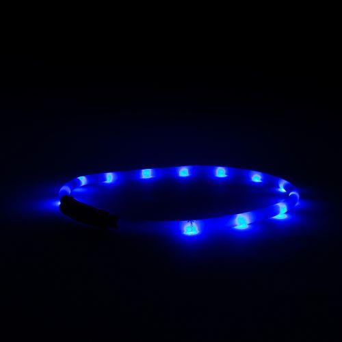 Great&Small Glow LED Rechargeable Collar Blue