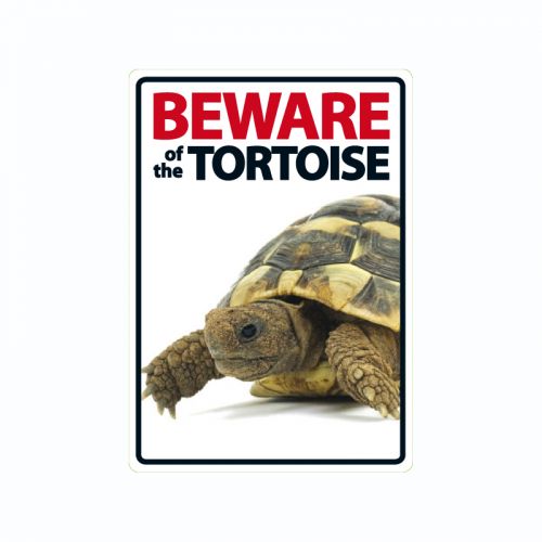Beware of the Tortoise Sign