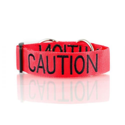 Dexil CAUTION Awareness Collar