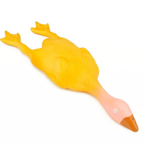 Great&Small Latex Duck