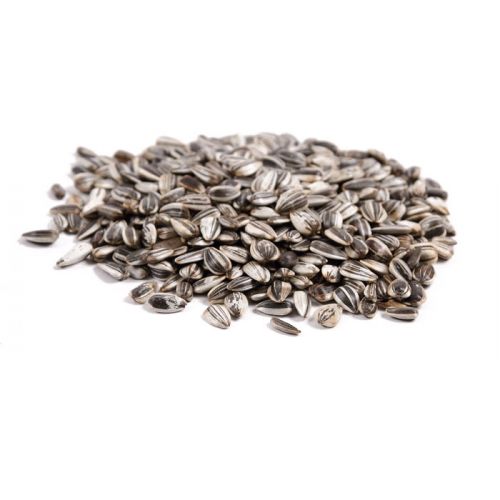 Great&Small Striped Sunflower Seeds