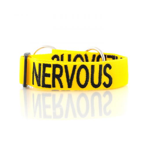 Dexil NERVOUS Awareness Collar