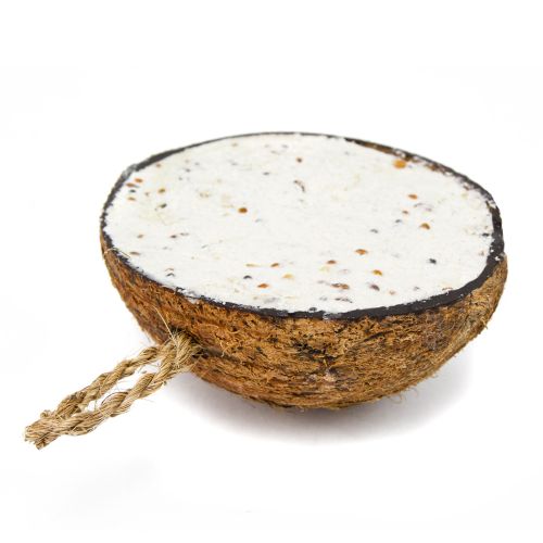 Peter&Paul Mealworm Suet Half Coconut