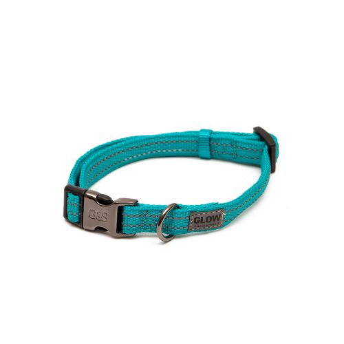 Great&Small Glow Reflective Collar Turquoise