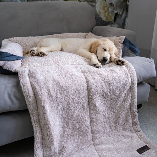 Great&Small Snuggle & Snooze Sofa Bed and Blanket