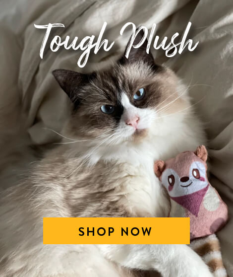 Tough plush
